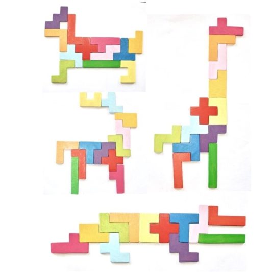 Penta Zoo - Matematik Akıl Zeka Mantık Oyunu - Görsel 4
