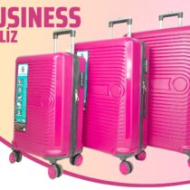 BUSINESS- GÜLKURUSU  3 LÜ SET VALİZ