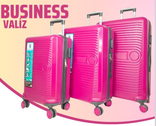 BUSINESS- GÜLKURUSU  3 LÜ SET VALİZ